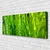 tulup.si Slika na platnu Grass nature rastlin 120x60 cm