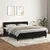 Vidaxl Box spring postelja z vzmetnico črna 160x200 cm žamet
