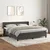 Vidaxl Box spring postelja z vzmetnico temno siva 180x200 cm žamet