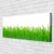 tulup.si Slika na platnu Grass nature rastlin 120x60 cm