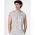 Champion Authentic Athletic Apparel Majica pegasto siva