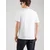 Calvin Klein Jeans Majica  zelena / bela