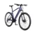 EconicOne Električni bicikl Adventure MTB, 250W, Ljubičasti
