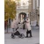Otroški voziček 2v1 CARRELLO Vector CRL-6550 Seashell Beige