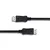 Qoltec DisplayPort v1.1 moški | DisplayPort v1.1 moški | 4K | 2 m
