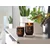 Woodwick Dišeča sveča ReNew velik kozarec Tomato Leaf & Basil 368 g