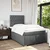 Vidaxl Box spring postelja z vzmetnico temno siva 120x190 cm blago