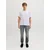 JJ Rebel by Jack & Jones farmerke Adam za muškarce, sive, 30/30