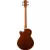 Washburn AB5 Natural