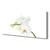 tulup.si Slika na platnu Orhideje narava 120x60 cm