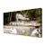 tulup.si Slika na platnu Forest slap narava 125x50 cm