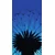 Tapeta modra regratova lučka - 147x270