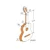 ALHAMBRA klasična kitara 1C REQUINTO 1/2