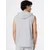 Champion Authentic Athletic Apparel Majica pegasto siva