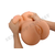 Masturbator Shequ Sexy Lina