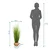 MID.YOU Umetna Rastlina Cortaderia