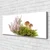 tulup.si Slika na platnu Rastlinski gobe narava 120x60 cm