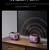 Shinco Bluetooth karaoke zvučnik sa 2 mikrofona ST-8, Dolby, LED, Crni