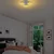 Opviq Halka 13313 Luster, Sivi