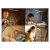 Media-Tech Namizna LED svetilka MT224 USB