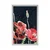 Plakat rdeč mak na črnem ozadju - 20x30 silver