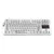Tastatura, ARGB, Providna