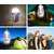LED Prenosiva punjiva lampa sa lapačem insekata LED/5W/1800 mAh IPX4 bela/siva