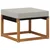 Set vanjskih sofa s jastukom 4 pcs Prirodna i svjetlosiva
