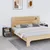 Vidaxl vidaXL Nočne omarice, komplet 2, sive, 40x34x45 cm, masiven borov les
