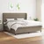 vidaXL Box spring postelja z vzmetnico taupe 200x200 cm blago, (20761060)