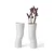 Seletti Dekorativna vaza 2-pack