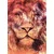 Tapeta levji obraz - 196x270