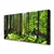 tulup.si Slika na platnu Narava rastlin forest trees 120x60 cm