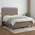 Vidaxl Box spring postelja z vzmetnico LED taupe 140x190 cm blago