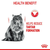 Royal Canin Dental Care Hrana za odrasle mačke 400g