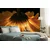Fototapeta gerbera na temnem ozadju - 343x231