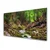 tulup.si Steklena slika Forest moss narava 100x50 cm 4 obešalnika
