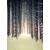 Fototapeta gozd pokrit s snegom - 196x270