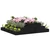 Sadilica crna 110x110x27 cm od masivne borovine