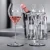 Kozarec za šampanjec SPECIAL SPUMANTE, set 2, 500 ml, prozoren, Spiegelau