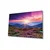 Wallity slika 698, 46x72 cm