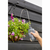 Plastičen zalivalnik 500 ml – Esschert Design