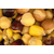 Nash Large Seed Mix 2,5l