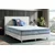 Vzmetnica Hilker COMFORT IV
