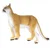 Safari Florida puma