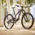 GORSKO KOLO SCOTT RANSOM 910 2024