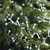 Lumineo LED lampice za jelku Compact Soft Glow Twinkle, 1000 lampica, 22 m, Bele