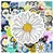 INF Vodoodporne nalepke Daisy Doodle, (21548354)
