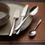 Set pribora 24 kos — Turin Plaza - 134360