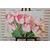 Slika spomladanski tulipani - 150x100